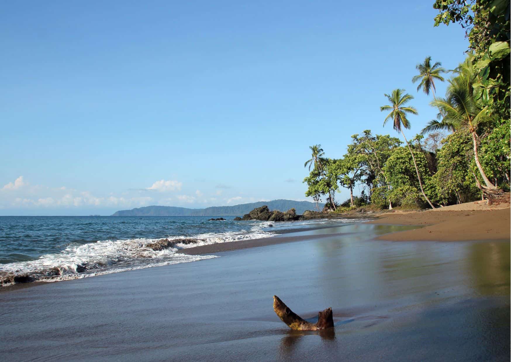 How To Get From Jaco To Drake Bay Best Way 5 How To Get From Jaco To Drake Bay Best Way, Jaco to Drake Bay, cheapest way from Jaco to Drake Bay, Jaco to Drake Bay by bus, bus from Jaco to Drake Bay, taxi from Jaco to Drake Bay, UBER from Jaco to Drake Bay, private transfer from Jaco to Drake Bay, Shared Van Jaco to Drake Bay, boat from Sierpe to Drake Bay, rent a car in Jaco