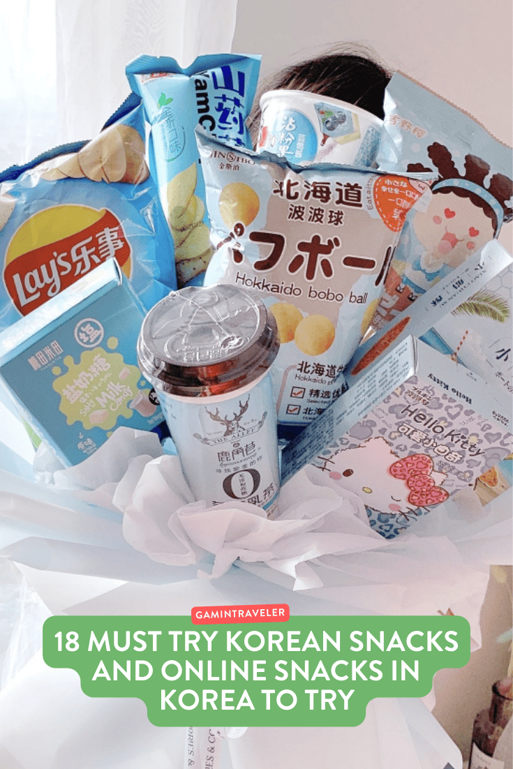 18 Must Try Korean Snacks and Online Snacks in Korea to Try 1 must try korean snacks, korean snacks online, online snacks in Korea
