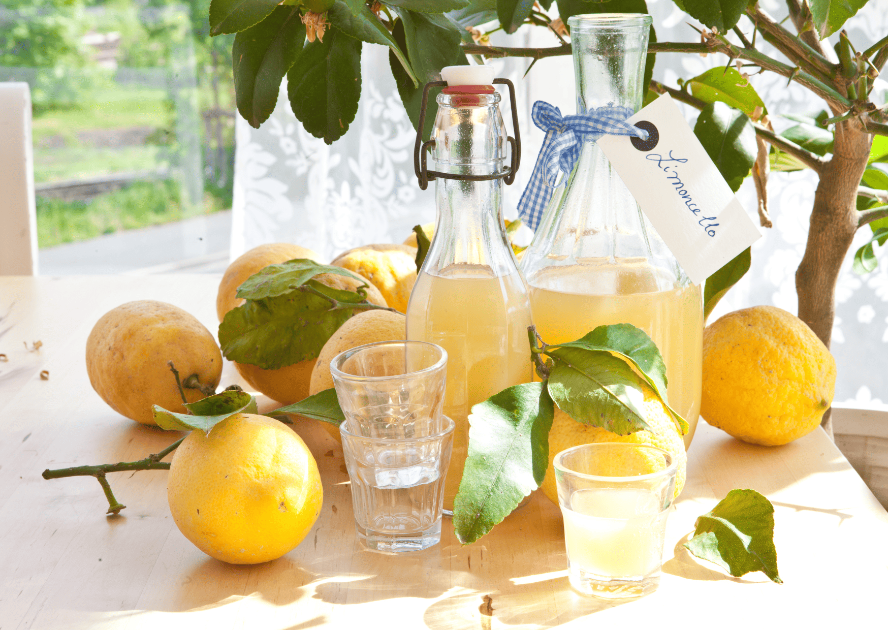Drinks of Italy: Popular Drinks in Italy to Try