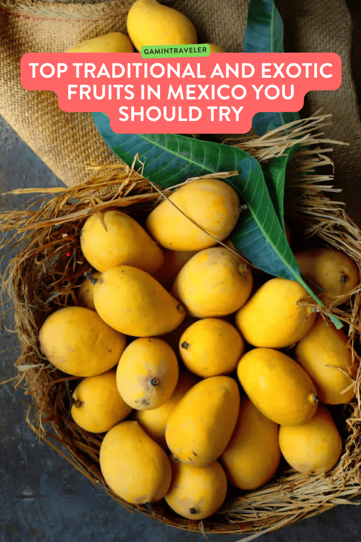 Traditional Mexican Fruit - Fruits in Mexico You Should Try 1 top traditional and exotic fruits in mexico you should try
