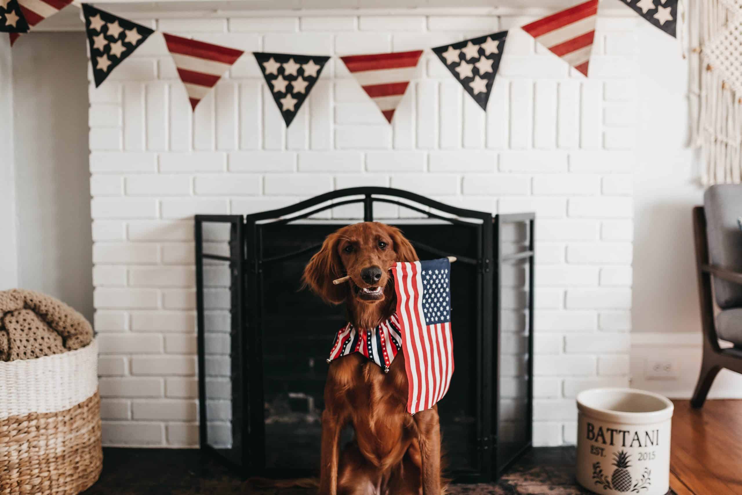 4th of July Breakfast Ideas - Start Independence Day Right 3 4th of July Breakfast Ideas