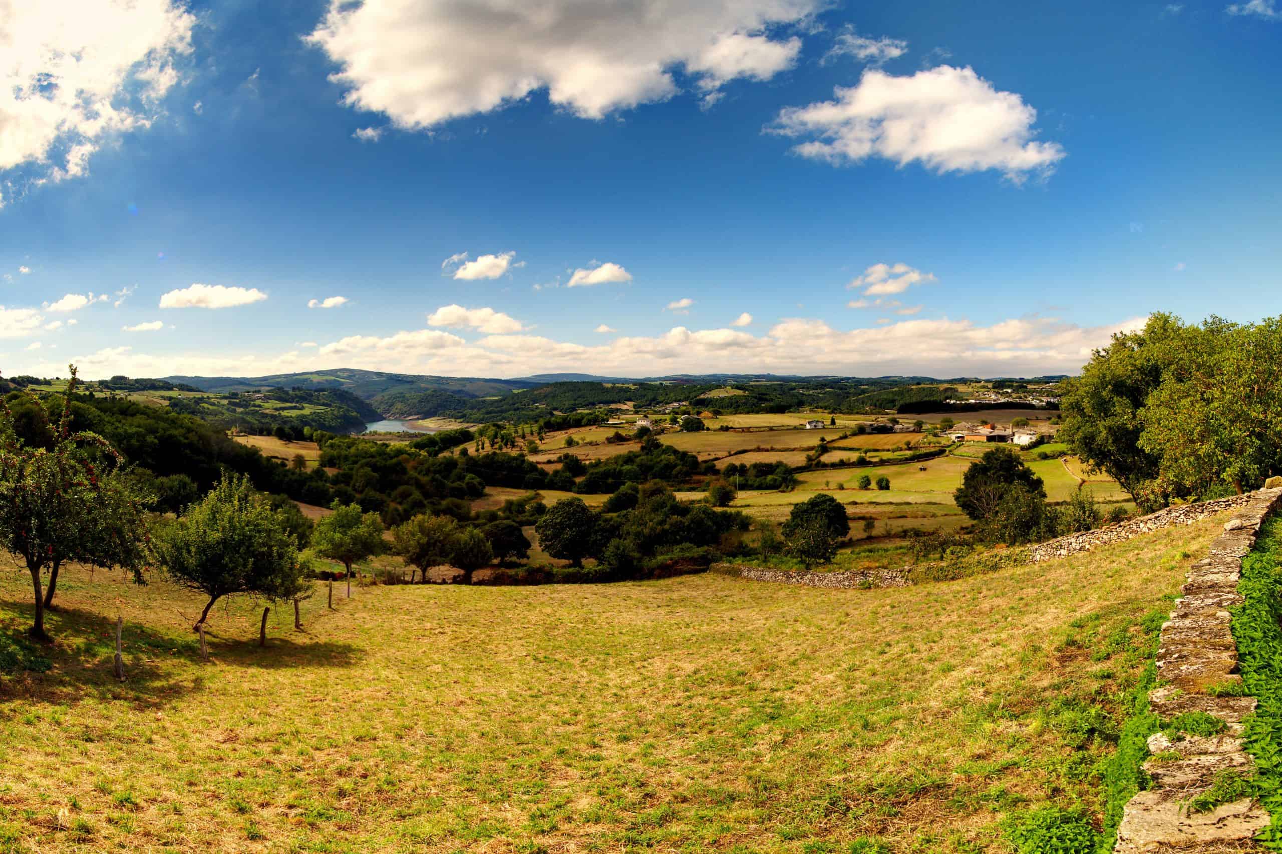 French, Spanish Or Portuguese Camino de Santiago: Which Is the Best Route?