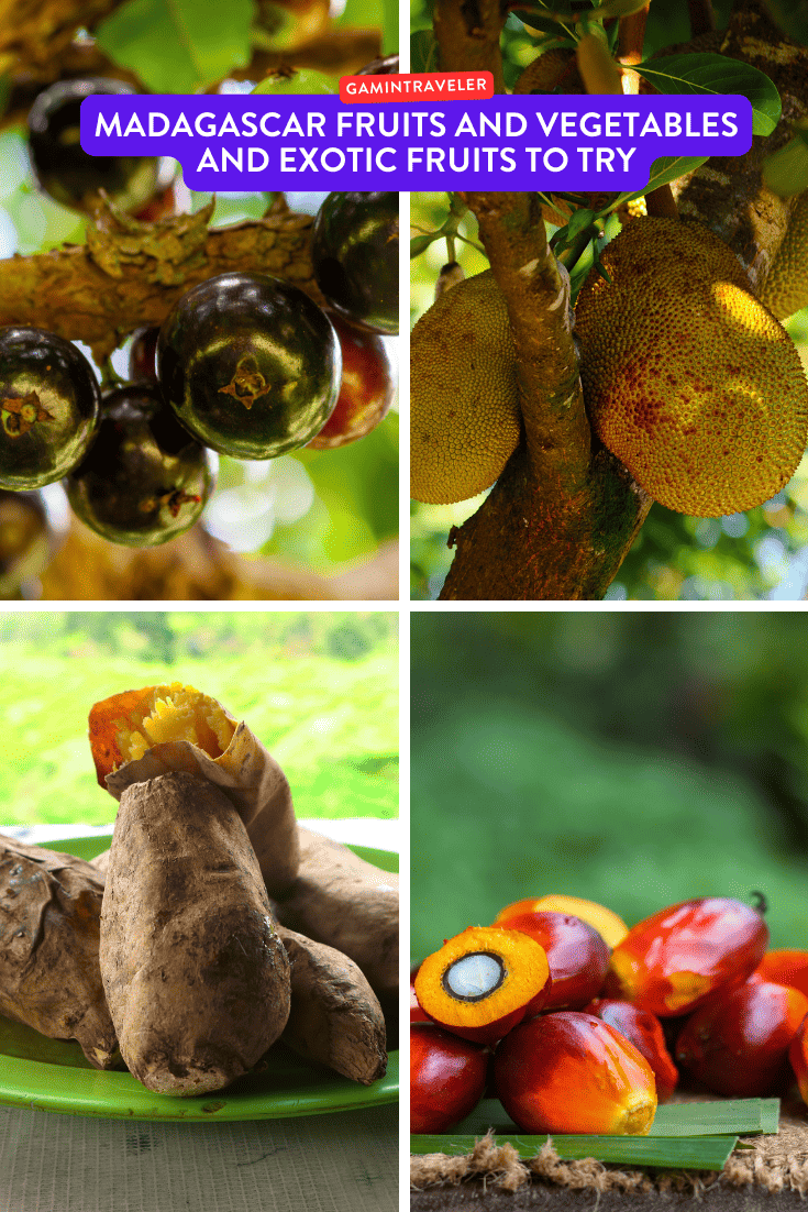 Madagascar Fruits and Vegetables and Exotic Fruits to Try 1 Madagascar Fruits and Vegetables and Exotic Fruits to Try
