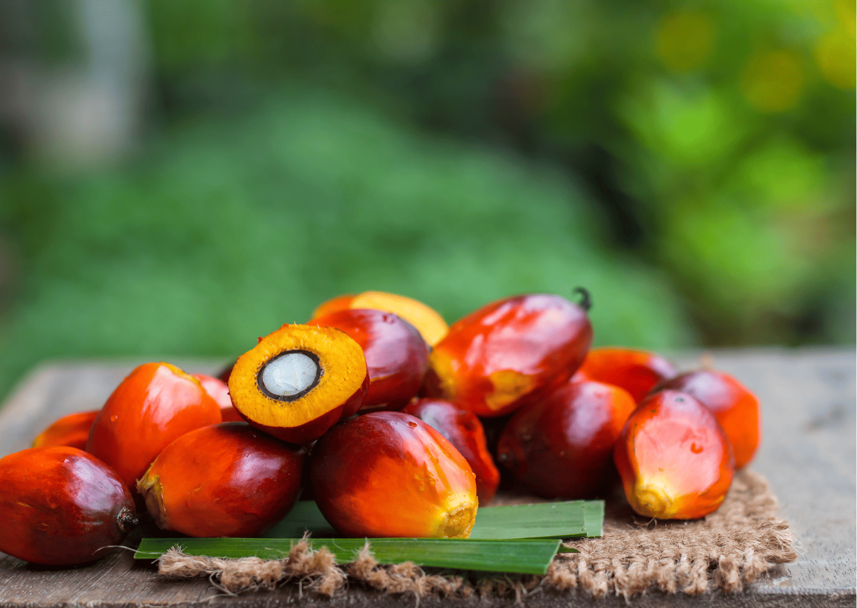 Madagascar Fruits and Vegetables and Exotic Fruits to Try 5 madagascar fruits and vegetables