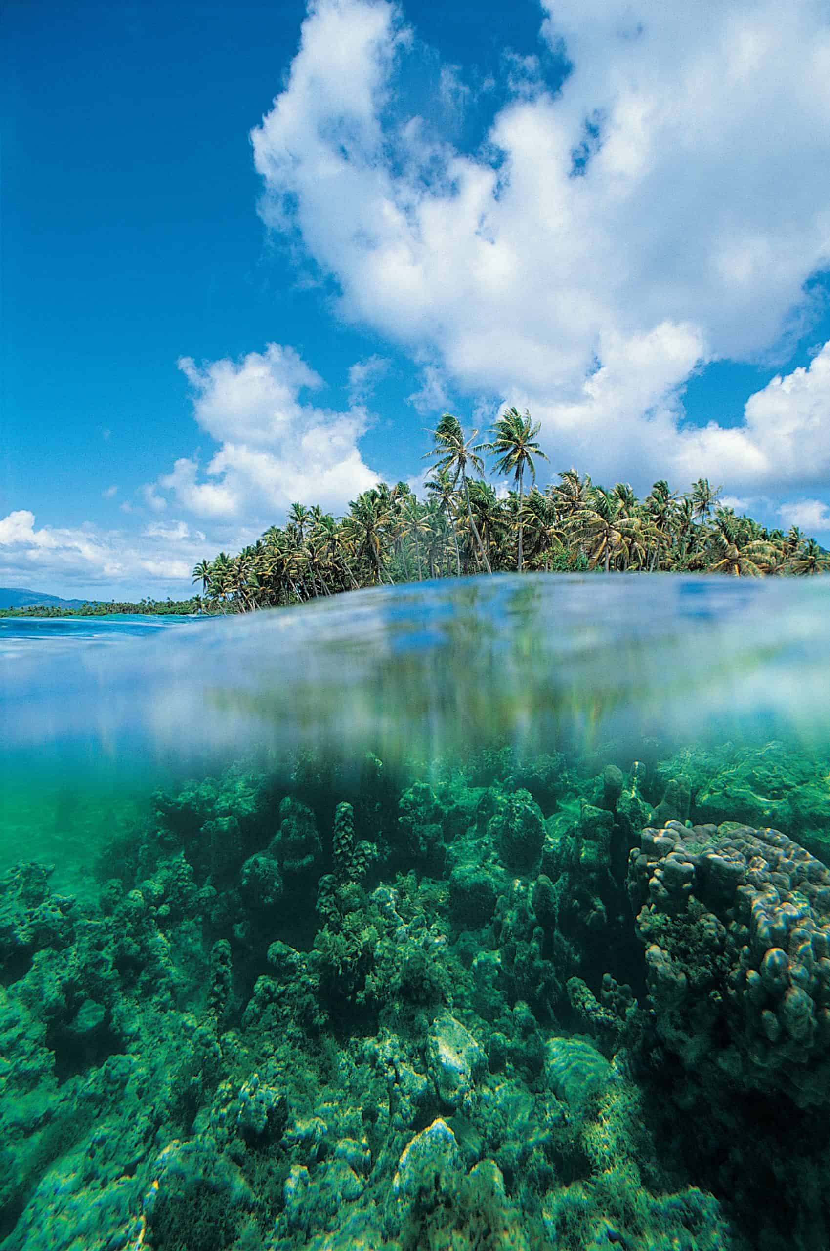 Maldives vs French Polynesia, French Polynesia vs Maldives