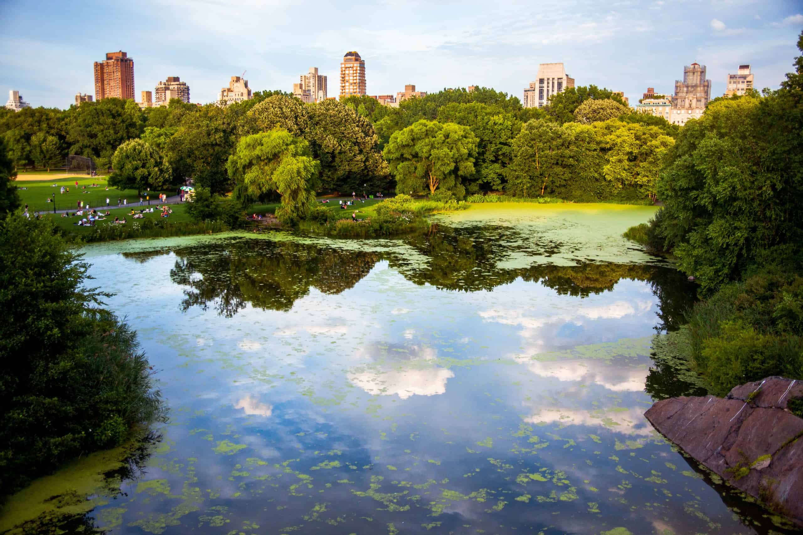 new york central park scaled