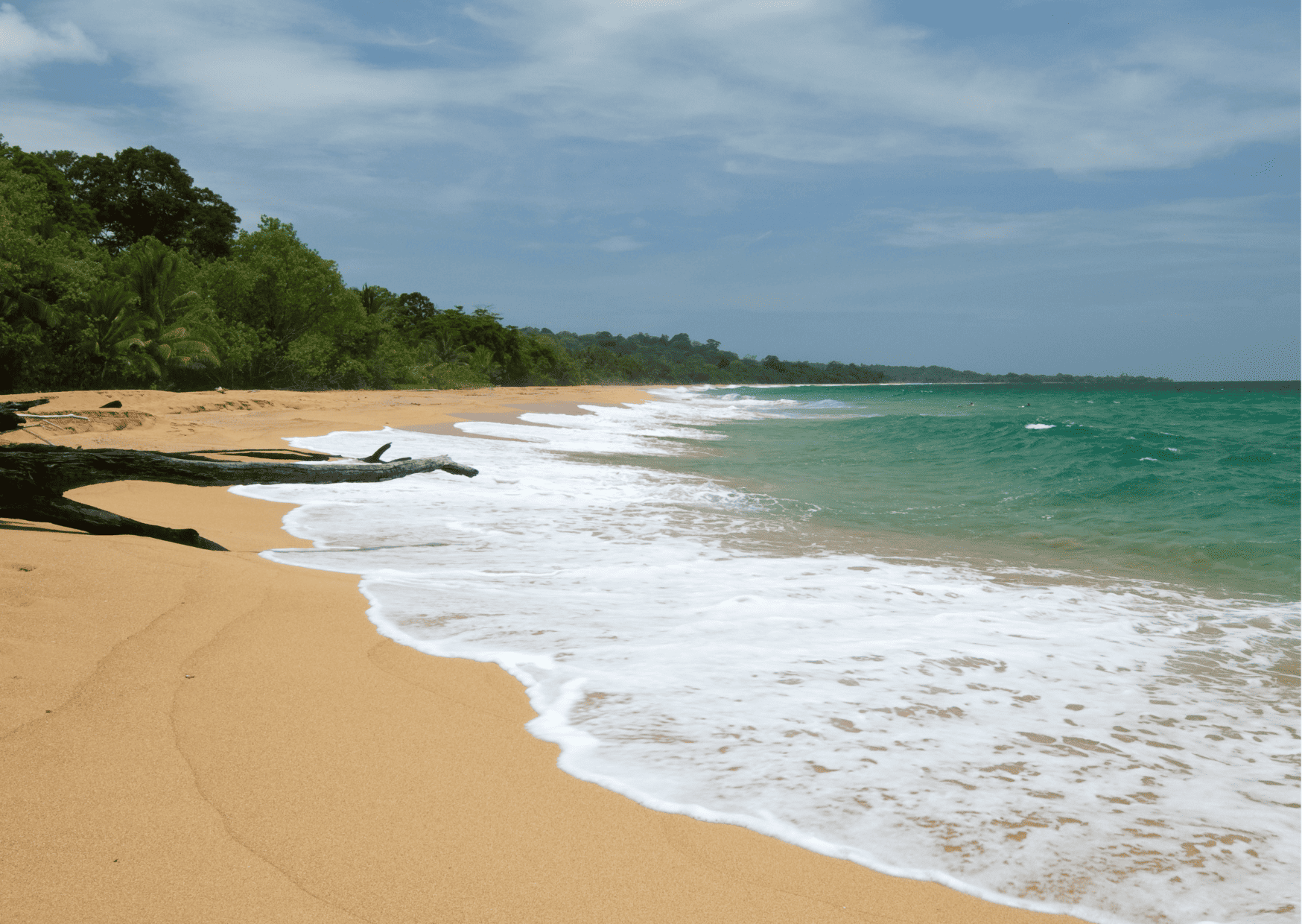 10 Best Spring Break Destinations That Aren’t Overcrowded 7 9 Best Tropical Places for Living That Make You Fall In Love, Best Bocas del Toro Tours: Top Guide to Bocas del Toro Tours