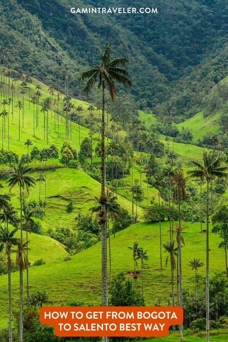 How To Get From Bogota to Salento Best Way 1 How To Get From Bogota to Salento Best Way, best way from Bogota to Salento, cheapest way from Bogota to Salento, Bogota to Salento, bus from Bogota to Salento, by plane from Bogota to Salento, Bogota to Salento by van, Bogota to Salento by bus,
