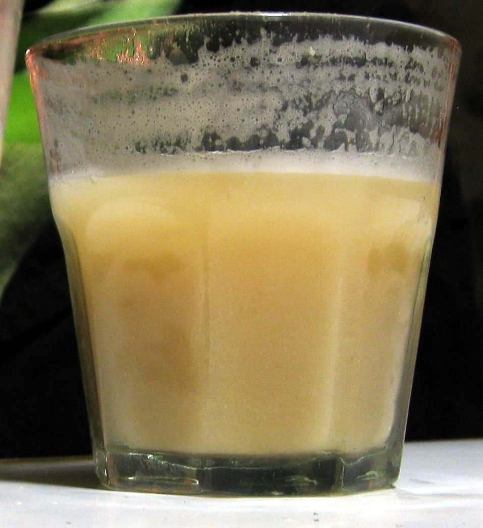 Guide to Best Drinks in Argentina - Top Argentinian Drinks 4 Drinks in Argentina, Argentinian Drinks