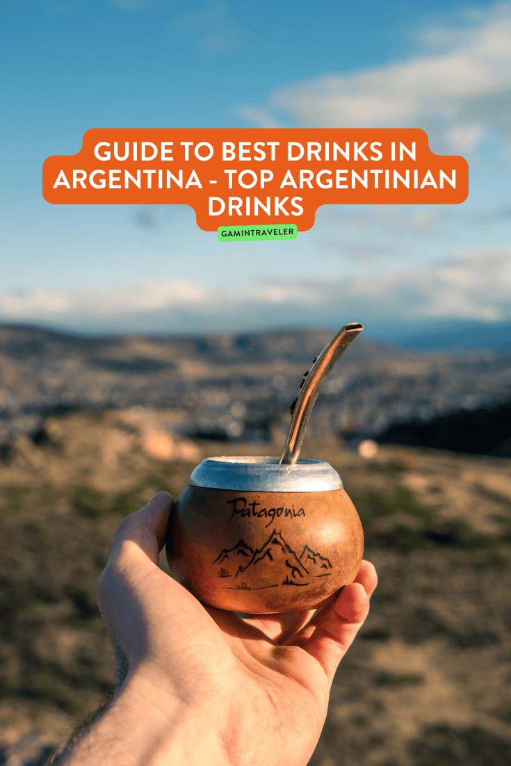 Guide to Best Drinks in Argentina - Top Argentinian Drinks 1 argentinian drinks, drinks in argentina