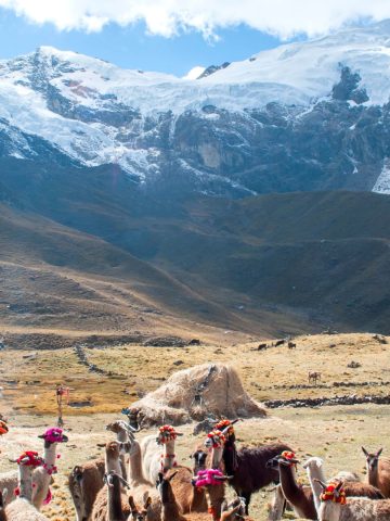 How To Get From Lima to Huancayo Best Way, cheapest way from Lima to Huancayo, Lima to Huancayo, bus from Lima to Huancayo, by plane from Lima to Huancayo, best way from Lima to Huancayo, taxi from Lima to Huancayo