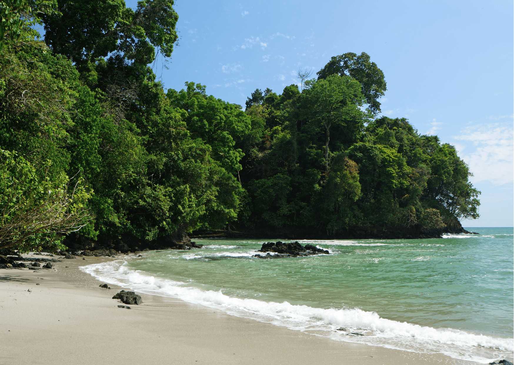 Best Manuel Antonio Surfing Lessons and Things To Do 2 manuel Antonio surfing, Best Manuel Antonio Surfing Lessons and Things To Do