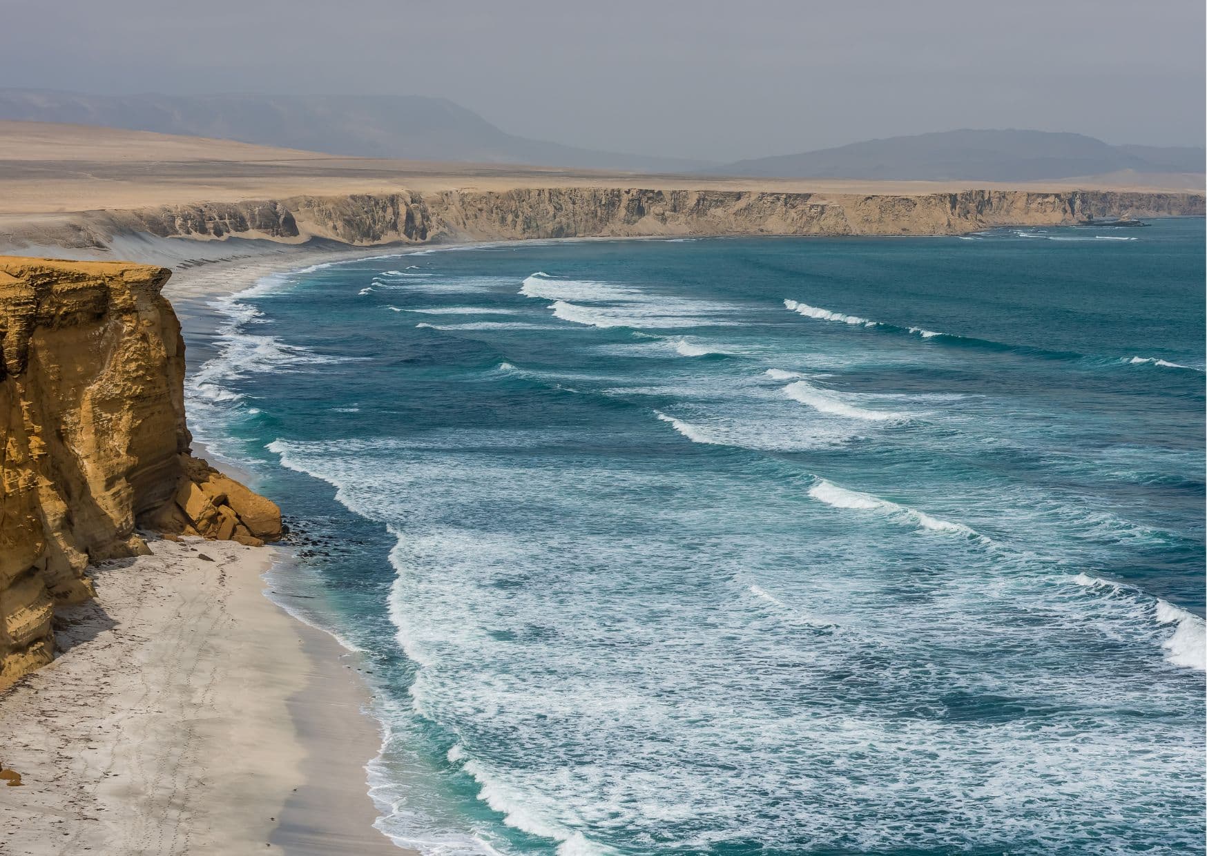 How To Get From Lima to Paracas Best Way 4 How To Get From Lima to Paracas Best Way, cheapest way from Lima to Paracas, Lima to Paracas, bus from Lima to Paracas, bus from Lima to Paracas, by plane from Lima to Paracas, best way from Lima to Paracas, taxi from from Lima to Paracas, private transfer from Lima to Paracas
