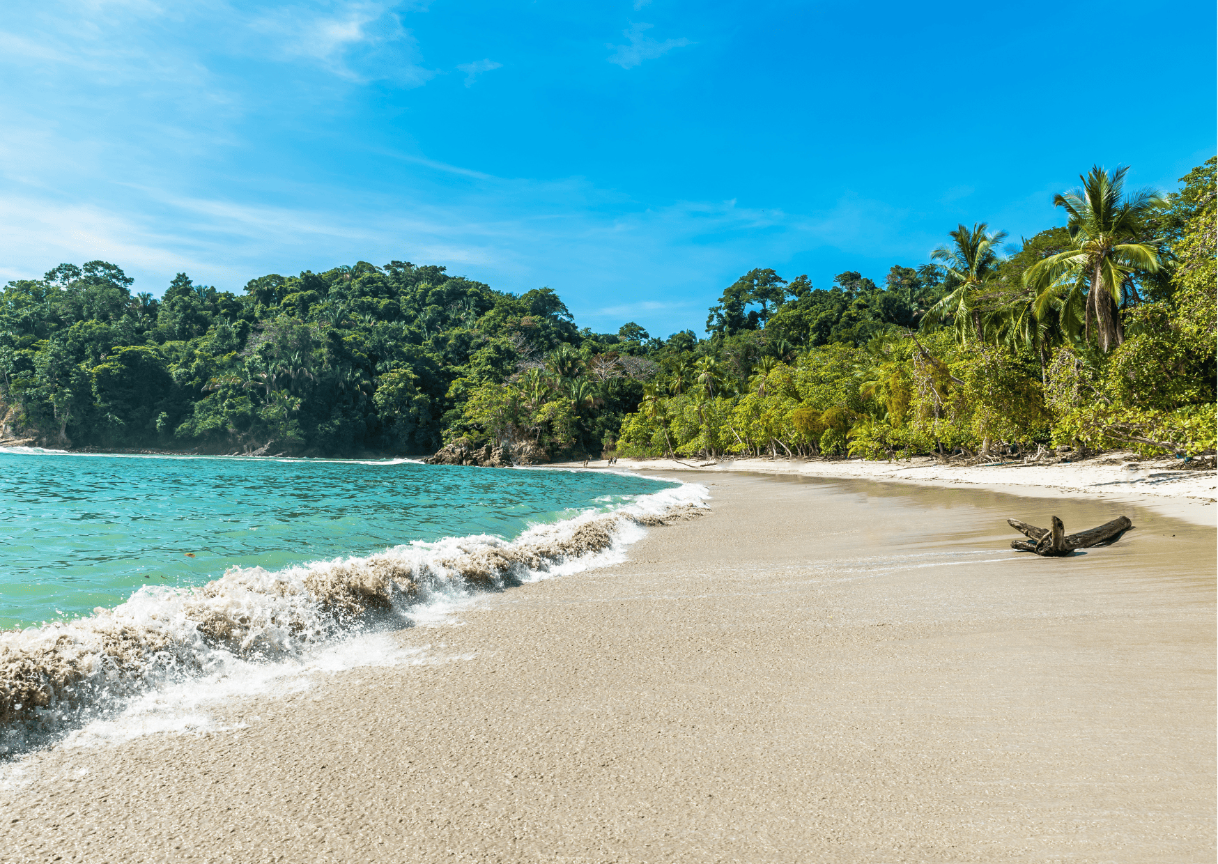 8 Reasons For Americans to Move to Costa Rica 2 Ultimate Guide to Best Tours in Manuel Antonio Costa Rica