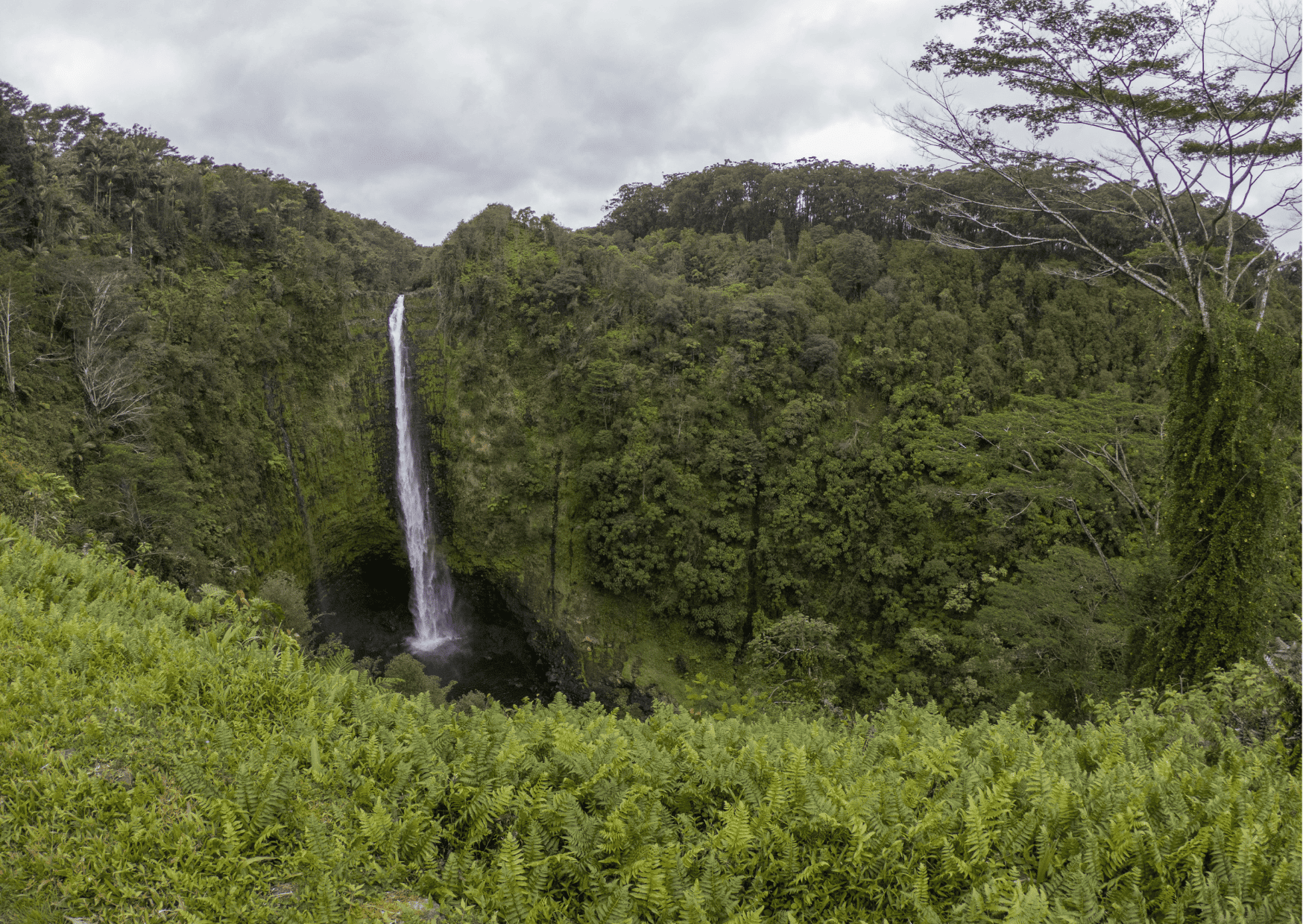 Waterfall Maui Hike: Top Hiking Trails in Maui to Visit