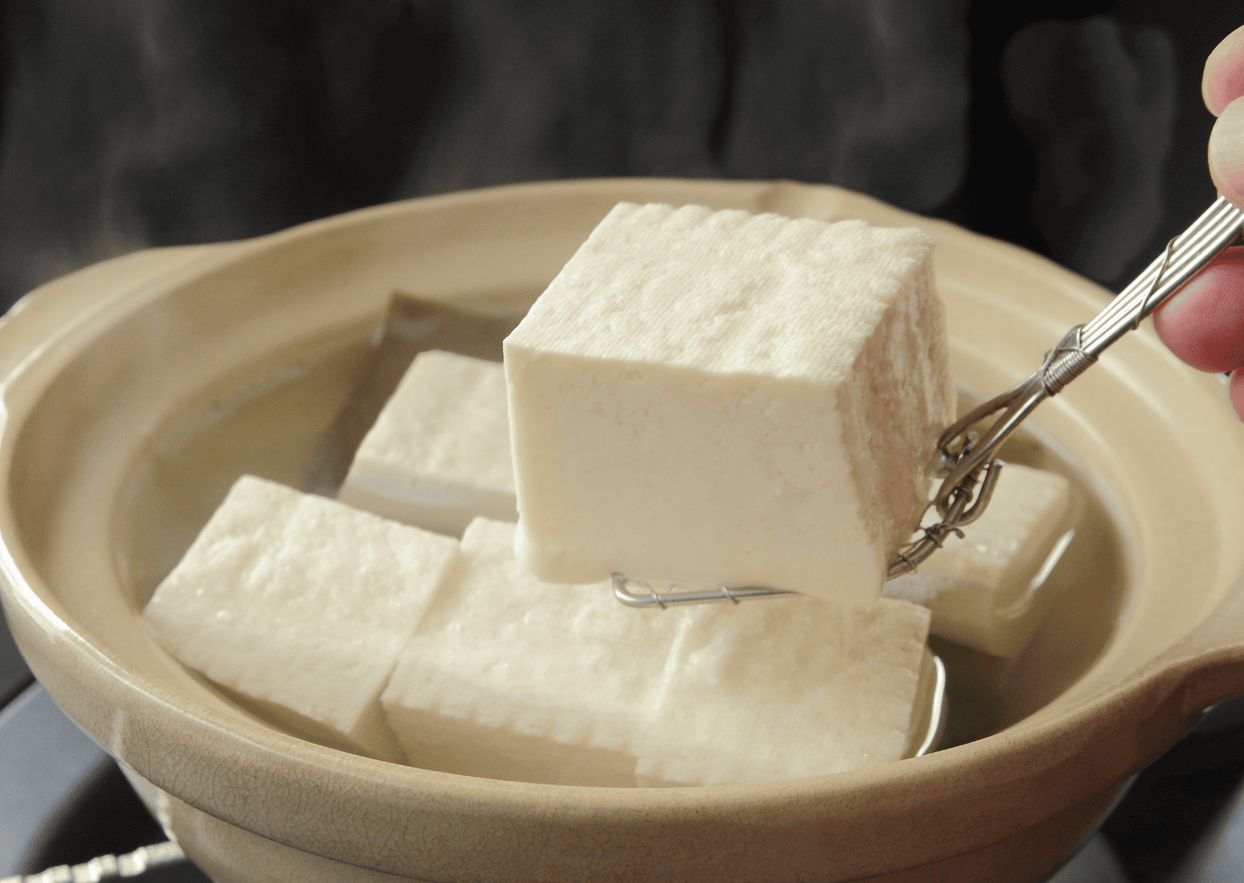 Best Guide to Vegan Food Kyoto and Vegan Restaurants Kyoto 1 yudofu, vegan food Kyoto, Vegan Restaurants Kyoto