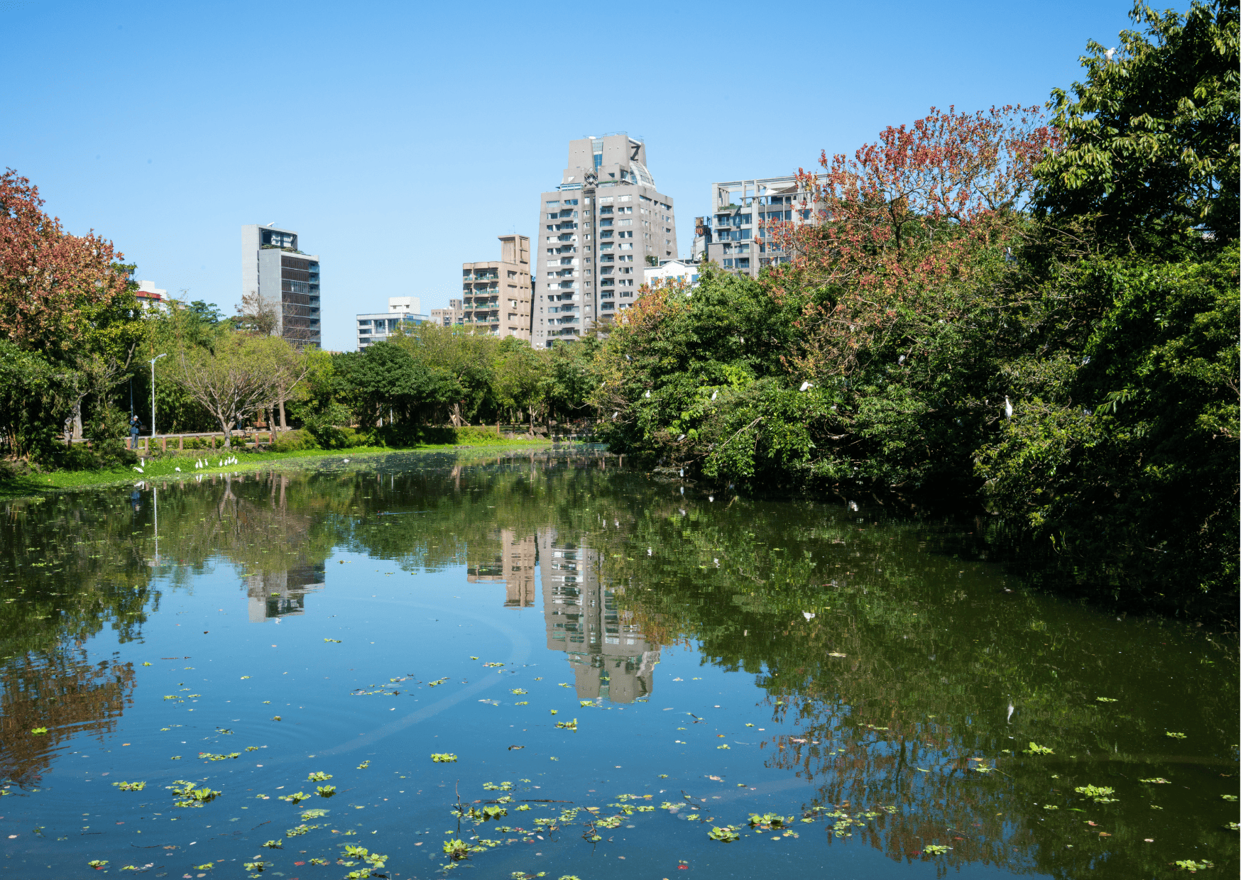 Things to Know Before Visiting Taipei For First Timers - Taipei Travel Tips 6 Things to Know About Taipei Before Visiting and Taipei Travel Tips