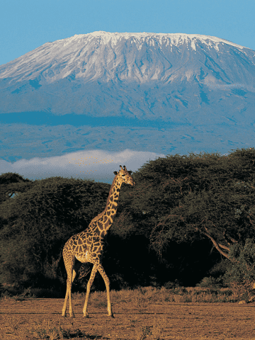 Guide to Climbing Mount Kilimanjaro: 2024 Kilimanjaro Tours