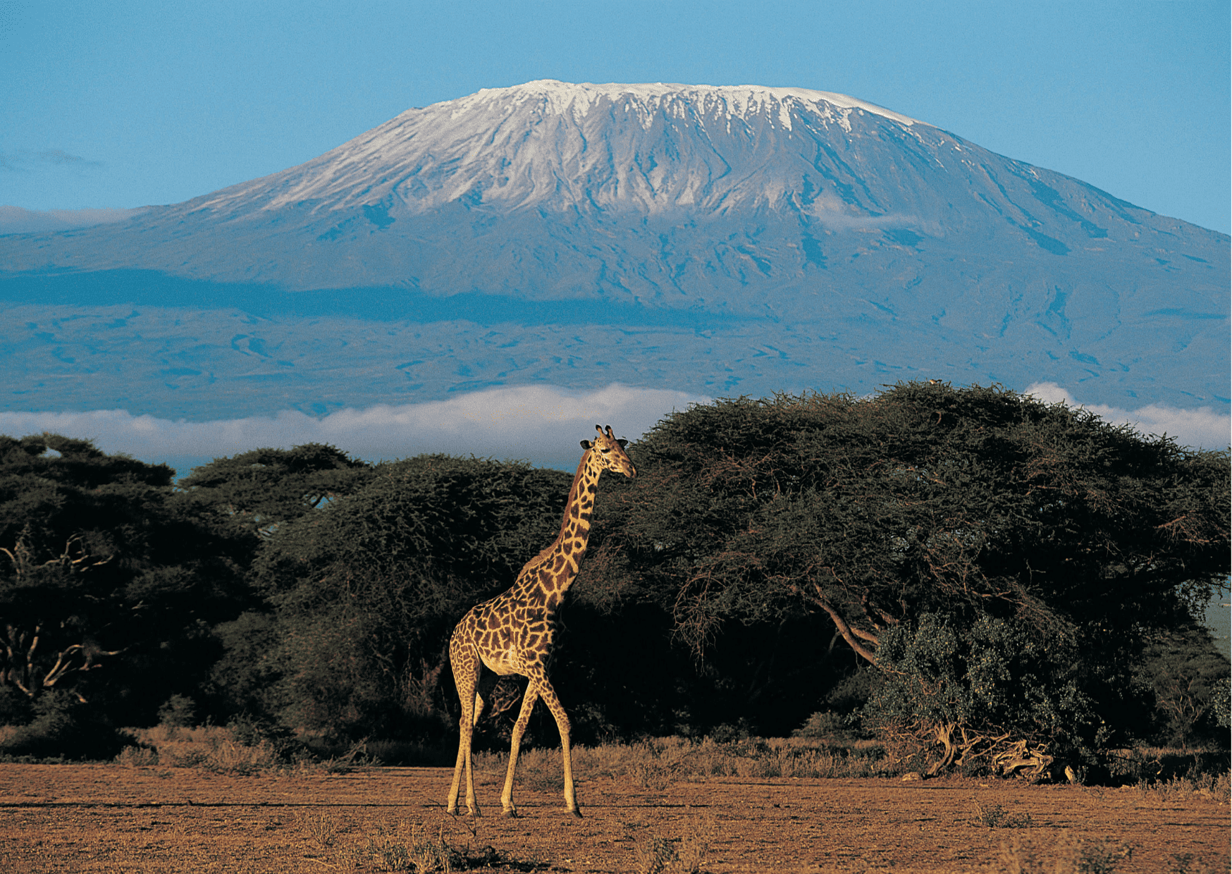 Guide to Climbing Mount Kilimanjaro: 2024 Kilimanjaro Tours 2 kilimajaro tours, kilimnajaro trip, kilimanjaro vacation