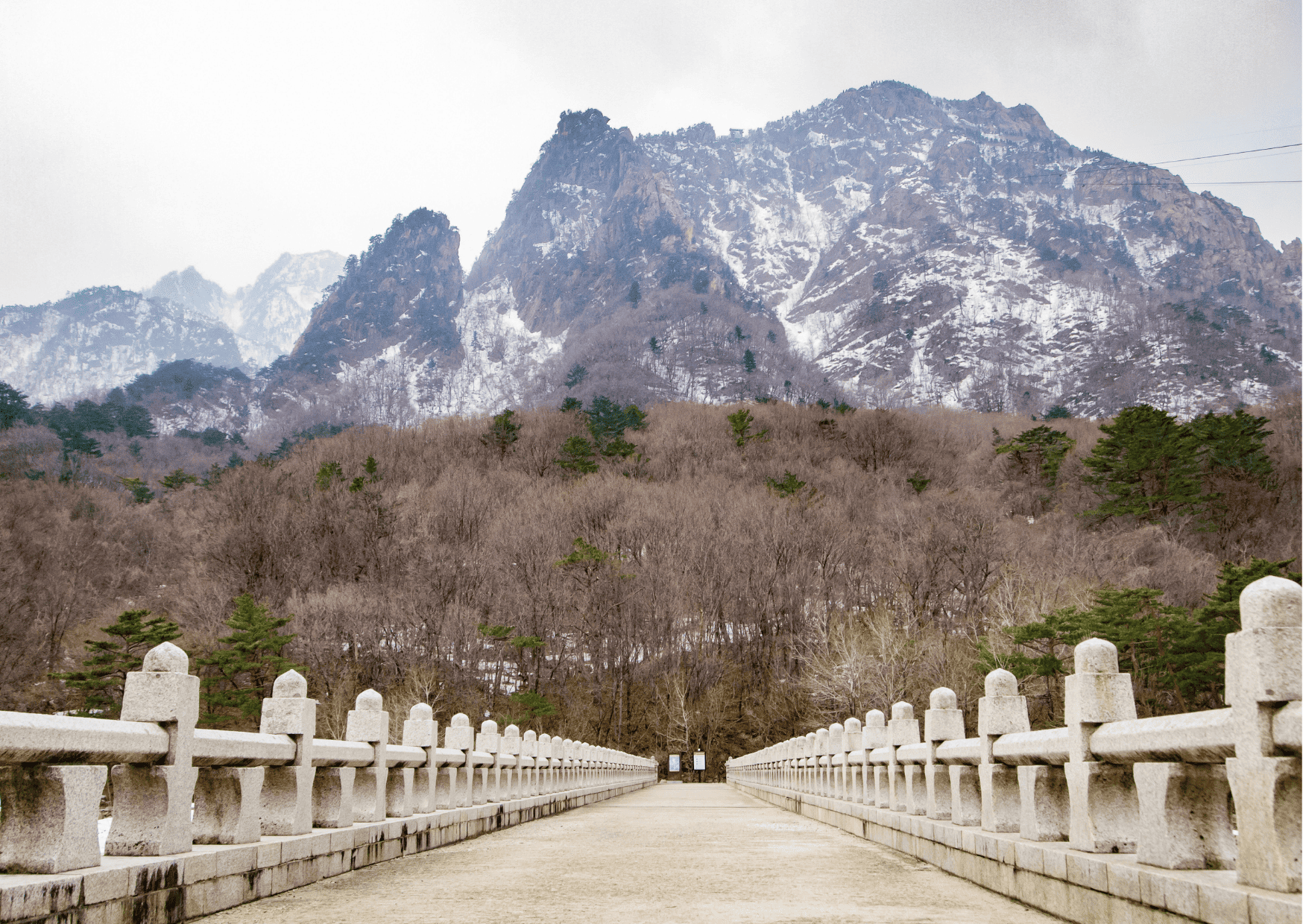 Things to Know before Visiting South Korea and South Korea Travel Tips