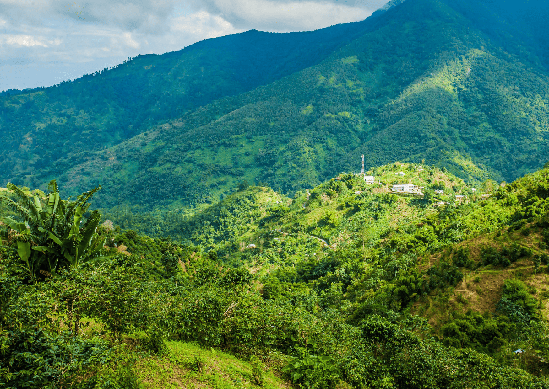 Antigua vs Jamaica: Which is the Better Vacation? 8 Blue Mountains in Jamaica Antigua vs Jamaica