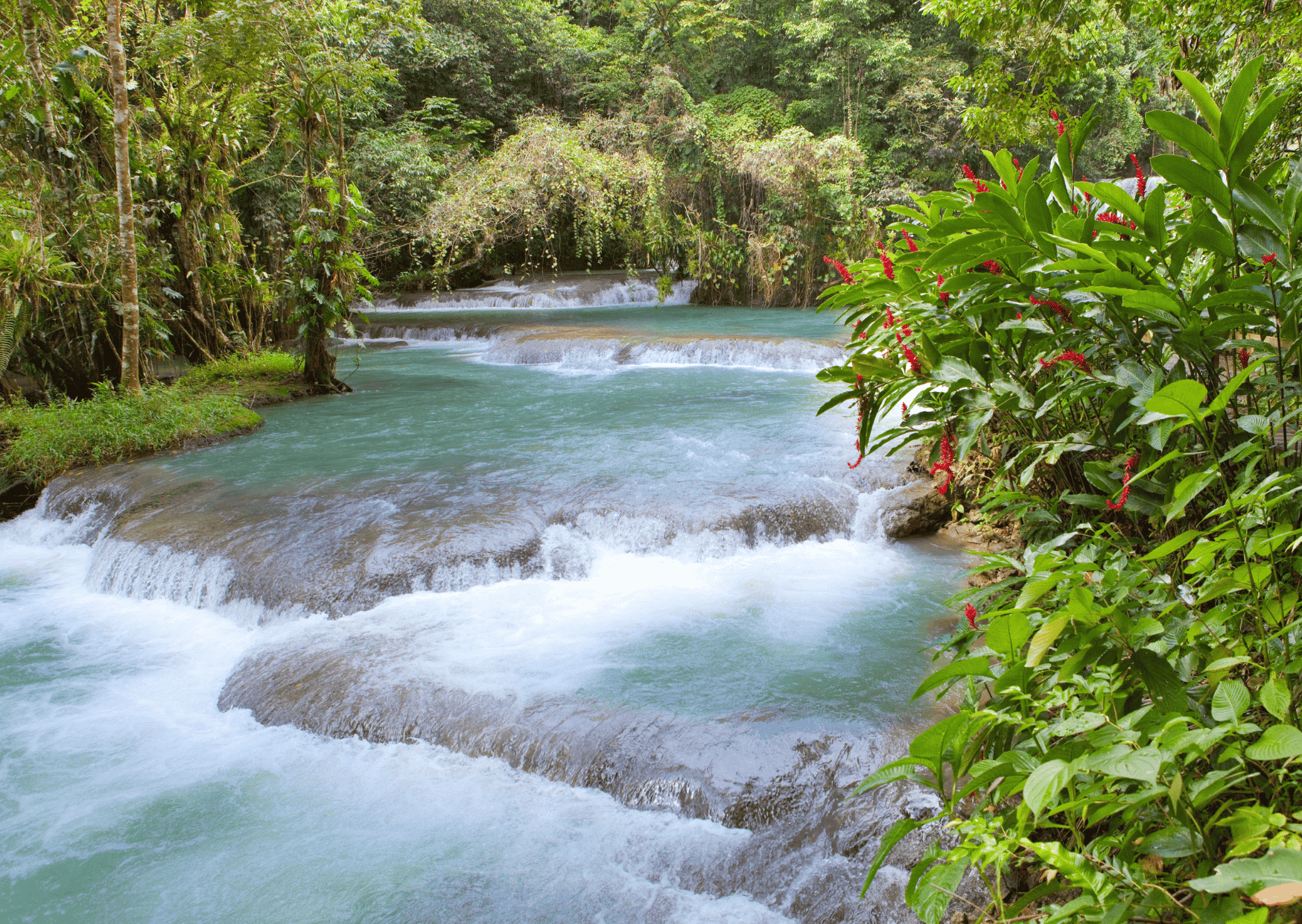 Antigua vs Jamaica: Which is the Better Vacation? 7 Dunns Waterfalls Jamaica Antigua vs Jamaica