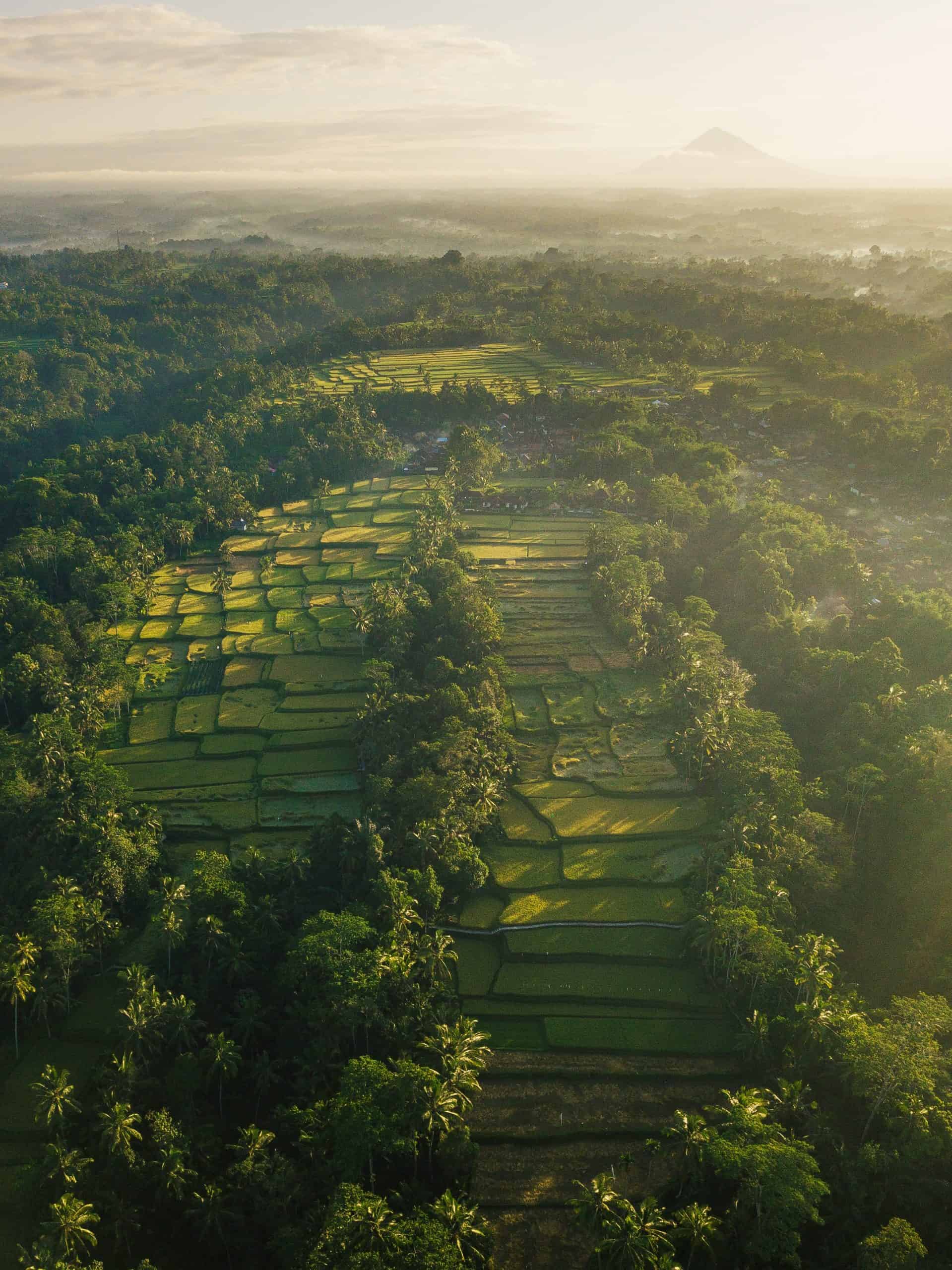 Phuket vs Bali - Which is the Better Vacation For You? 4 Phuket vs Bali