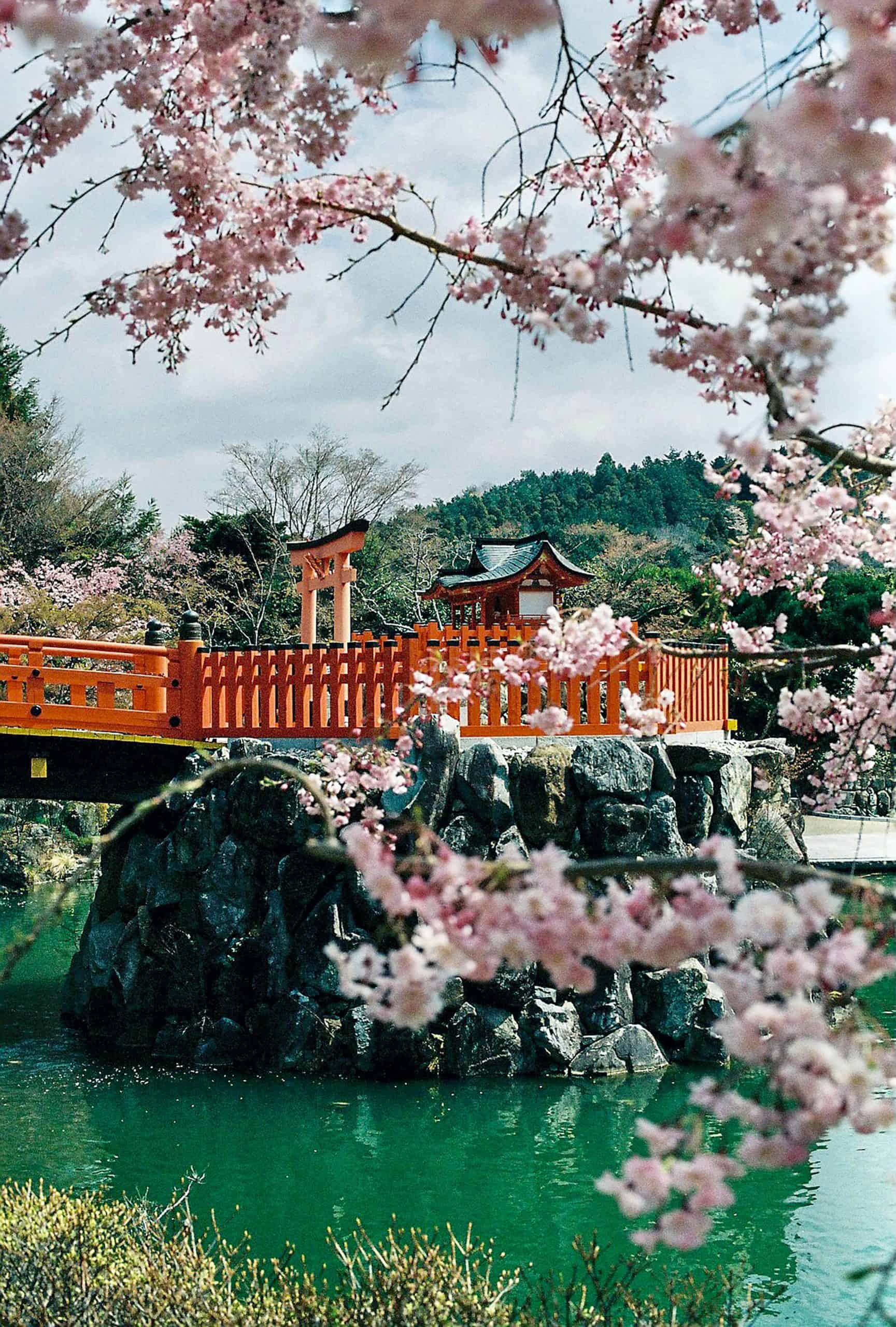 The 20 Best Countries for Finding Love on the Road 4 Top 20 Countries for Travel Dating: Ideal Destinations for Romantic Ventures