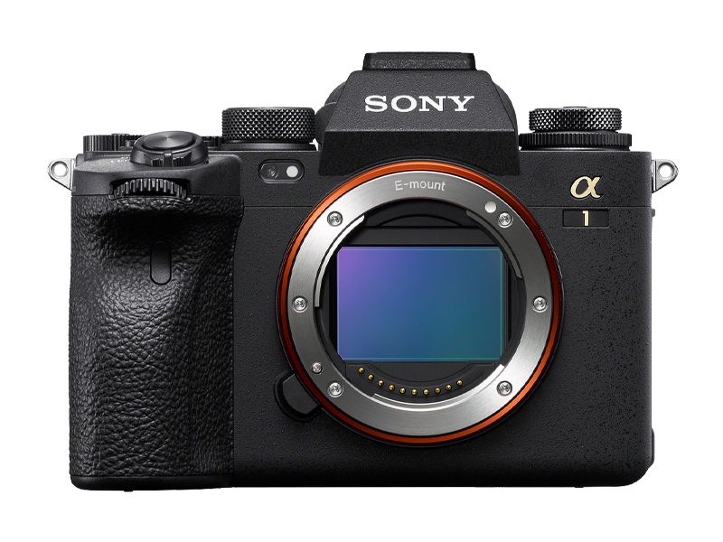 Why Mirrorless Cameras are a Must-Have 1 Why Mirrorless Cameras are a Must-Have