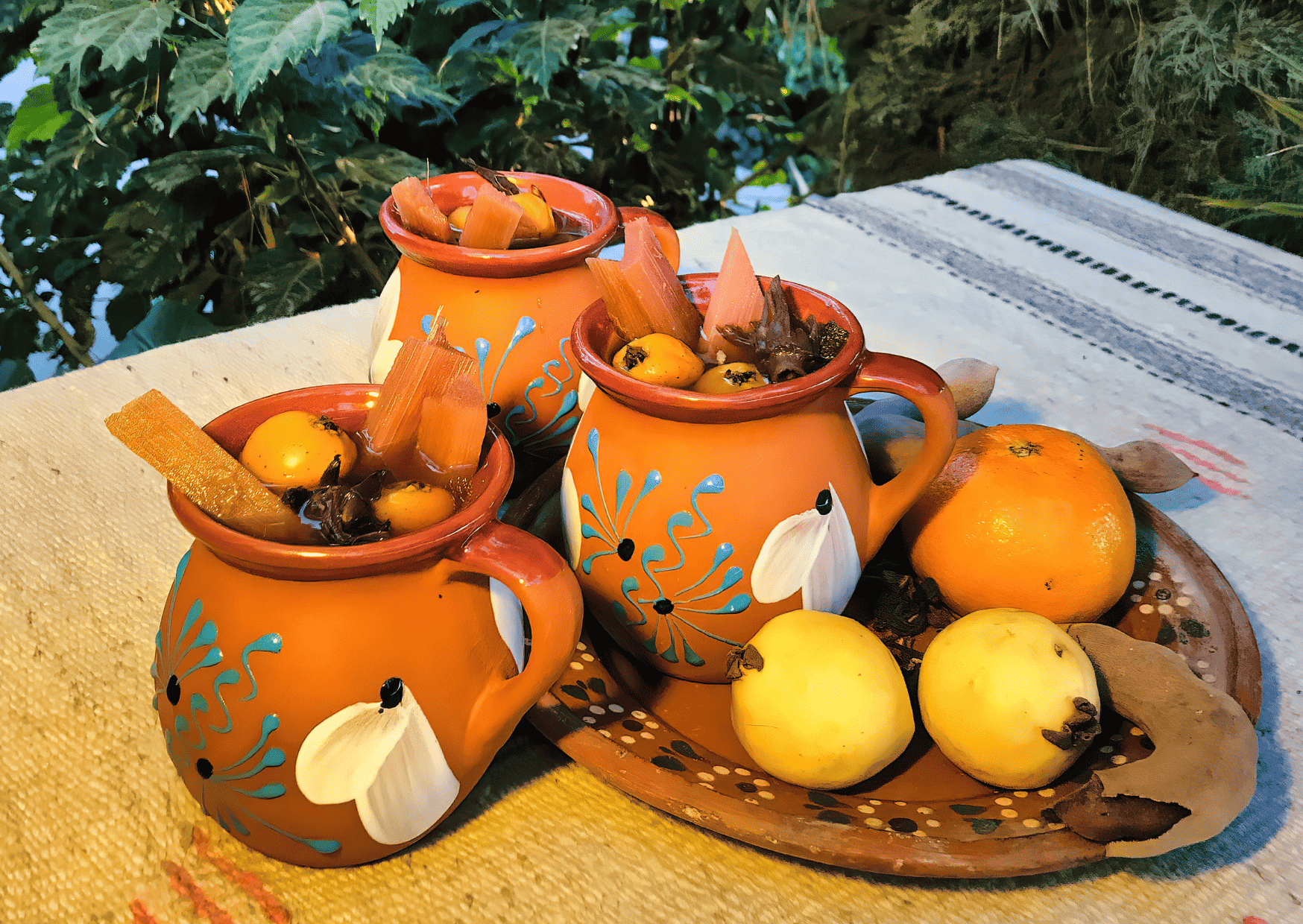 25 Most Popular Non Alcoholic Drinks in Mexico You Should Try 13 Ponche de Frutas, Most Popular Non Alcoholic Drinks in Mexico, non alcoholic beverages in Mexico, mexico non alcoholic drinks, non alcoholic drinks in Mexico