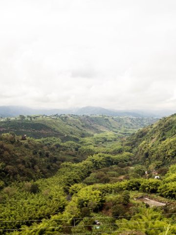 How To Get From Neiva to Armenia Best Way, cheapest way from Neiva to Armenia, Neiva to Armenia bus, Neiva Huila to Armenia, bus schedule Neiva to Armenia, Bookaway Neiva to Armenia, Coomotor Neiva to Armenia, best way from Neiva to Armenia, bus from Neiva to Armenia