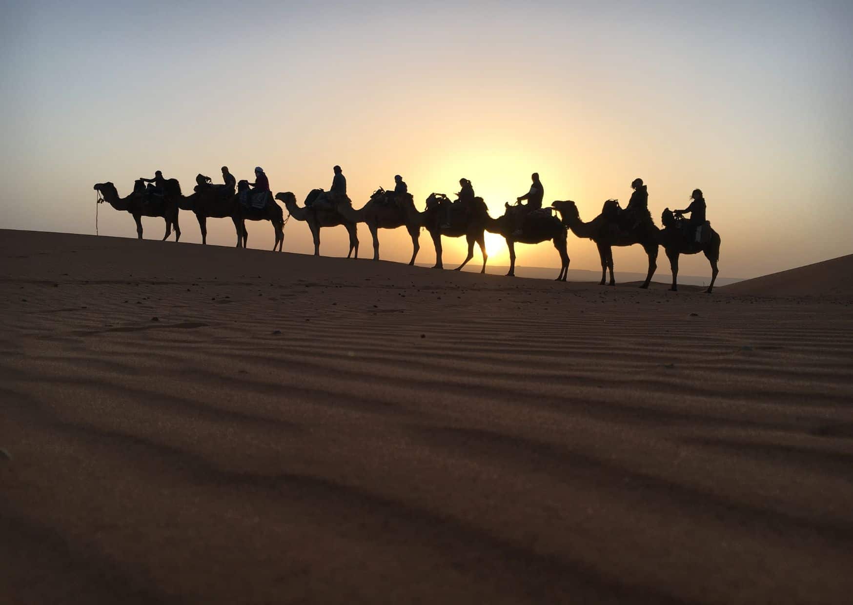 How To Get From Marrakech to Merzouga Best Way, cheapest way from Marrakech to Merzouga, Marrakech to Merzouga, bus from Marrakech to Merzouga, taxi Marrakech to Merzouga, Uber Marrakech to Merzouga, Marrakech to Merzouga by bus, van from Marrakech to Merzouga, best way from Marrakech to Merzouga, train from Marrakech to Merzouga,