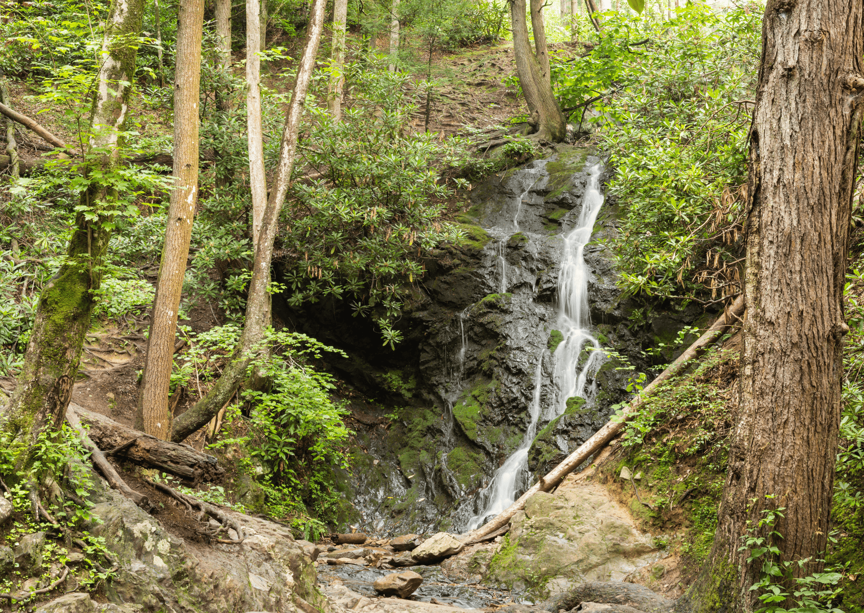 Planning a Fun Trip to North Carolina: A Comprehensive Guide 2 Planning a Trip to North Carolina Great Smoky Mountains