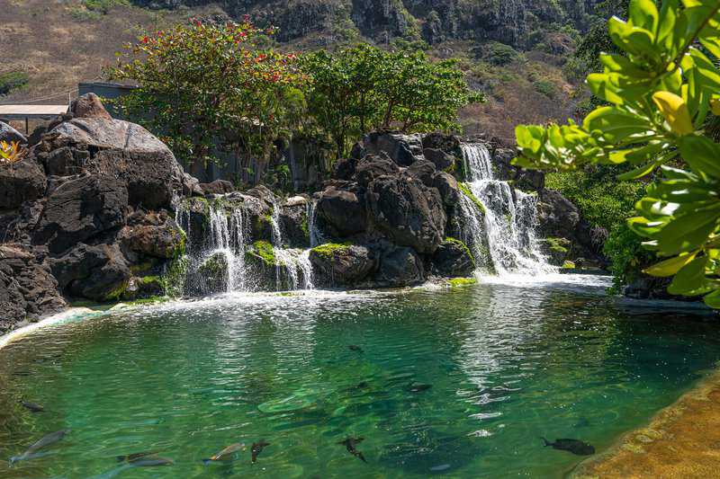 Sea Life Park in Hawaii: What to Experience in Sea Life Park 2 Sea Life Park in Hawaii Reef Encounter