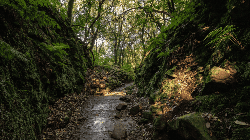 Levada do Caldeirão Verde in Madeira Portugal - Madeira Itinerary 5 Days