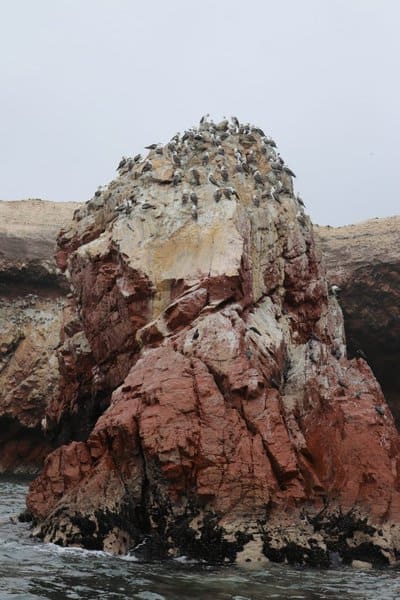 Paracas Nature Reserve