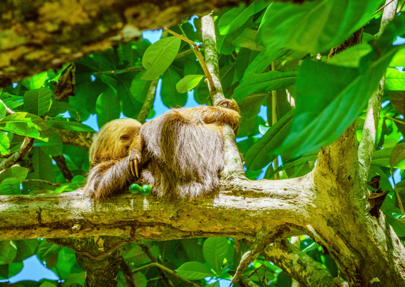 8 Reasons For Americans to Move to Costa Rica 1 8 Reasons For Americans to Move to Costa Rica