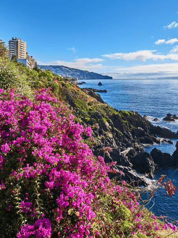 11 Mistakes to Avoid in Cape Town and How to Avoid Them, 10 Bucket List Destinations In Portugal To Visit, What Made Portugal the Most Popular Tourist Destination: Key Attractions and Unique Experiences, How to Plan A Trip to Europe For First-Timers, Best Places to Visit in Europe in Spring - Where to Go in Europe This Spring
