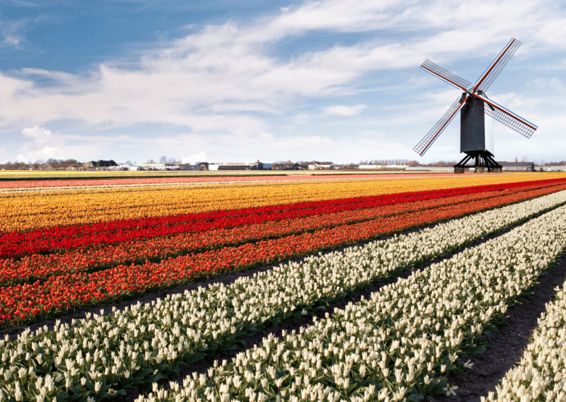Best Places to Visit in Europe in Spring - Where to Go in Europe This Spring 6 Best Places to Visit in Europe in Spring