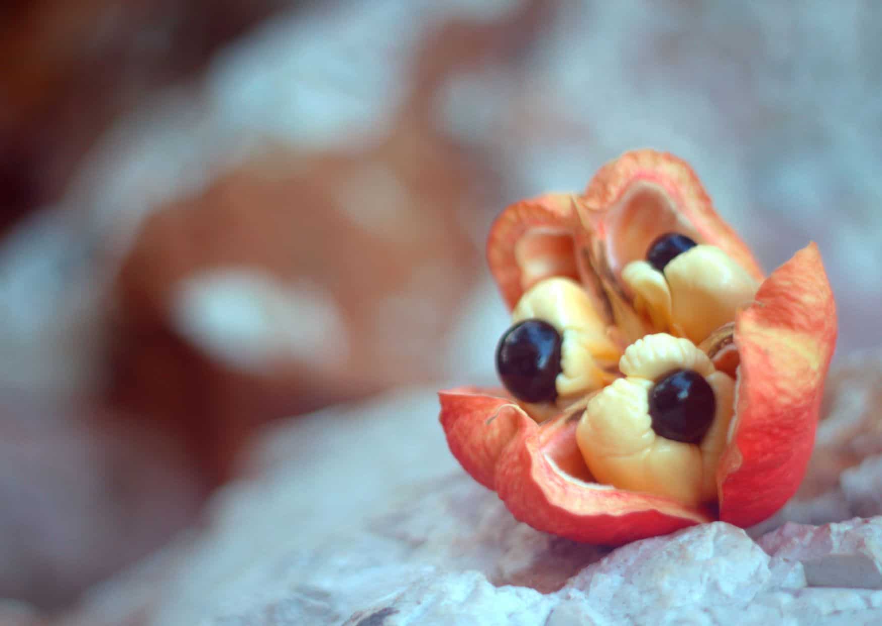 This Caribbean Breakfast Classic Is Bold, Savory, and Nothing Like You’d Expect: How to Make Ackee and Saltfish 2 How To Make Ackee And Saltfish (Recipe Guide) Tips And Calories