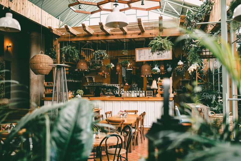 6 Countries With “Test Before You Commit” 6-Month Visas 7 beautiful coffee shop in Mexico City