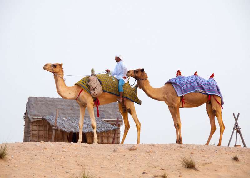 5 Tourist Traps to Avoid in Dubai And How to Avoid Them 3 Tourist Traps to Avoid in Dubai And How to Avoid Them