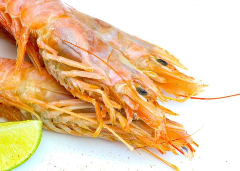 How to Make Gambas al Ajillo: Spanish Garlic Shrimp Recipe 2 How to Make Gambas al Ajillo - Authentic Gambas al Ajillo (Recipe Guide)