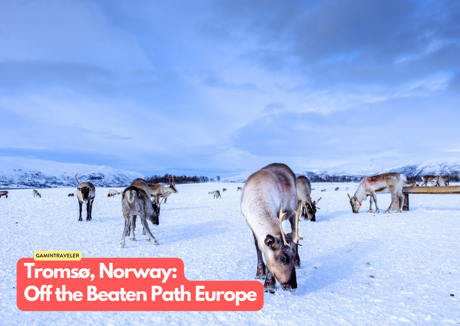 15 Hidden Gems Off the Beaten Path Europe You Should See 2 Tromsø, Norway - Off the Beaten Path Europe_ 15 Hidden Gems You Should See