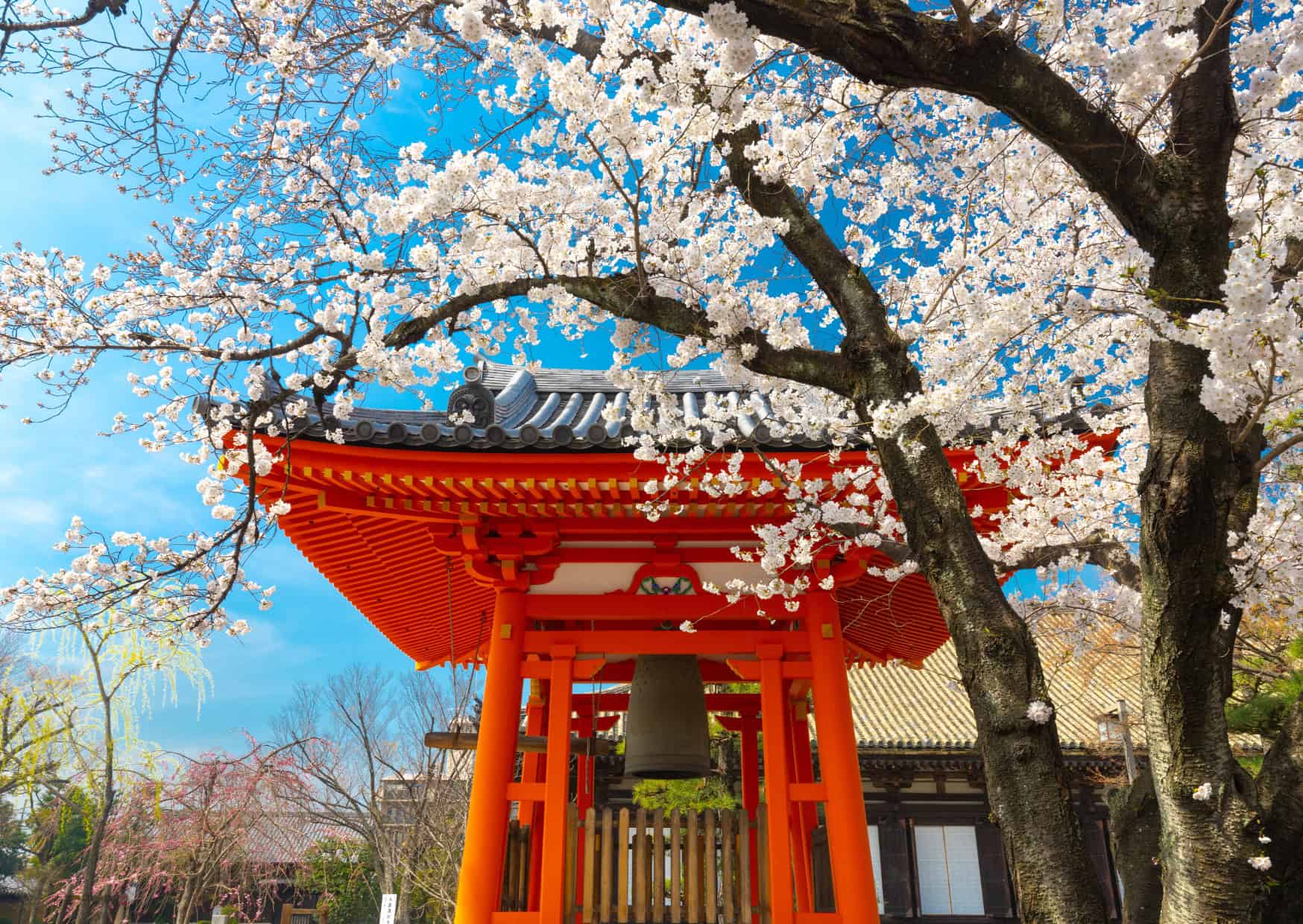 23 Surprising Facts About Japan Most Tourists Never Learn 7 20 Top Countries in the World to Meet and Date New People: Ultimate Guide