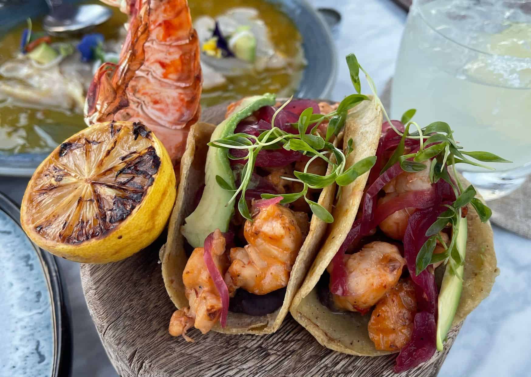 7 Tourist Traps to Avoid in Cabo And How To Avoid Them