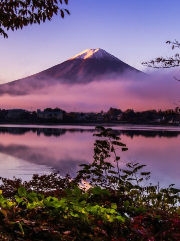 23 Interesting Facts About Japan That You Didn’t Know, 10 Best Destinations for Solo Travel Right Now