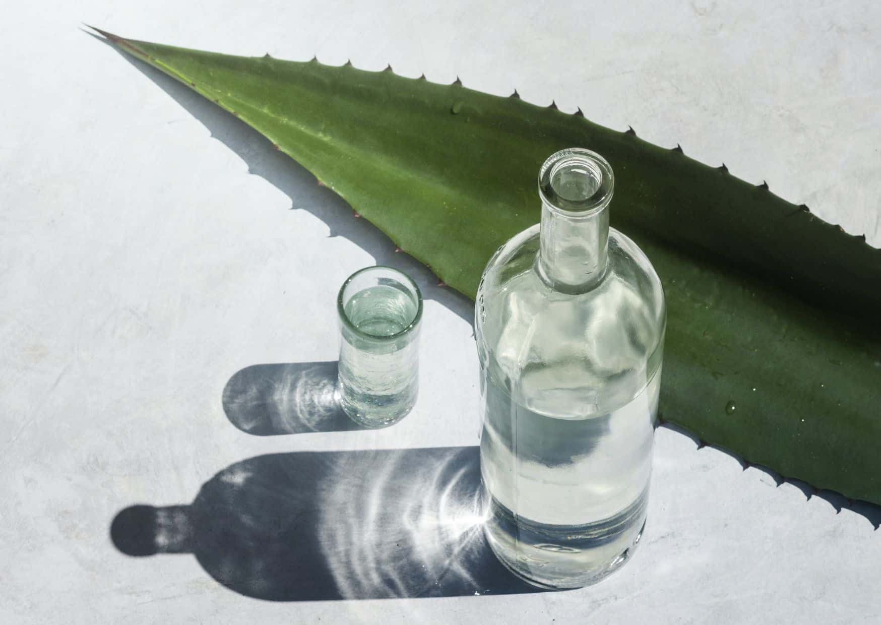 How to Make a Mezcal Margarita (Recipe Guide) Tips And Calories
