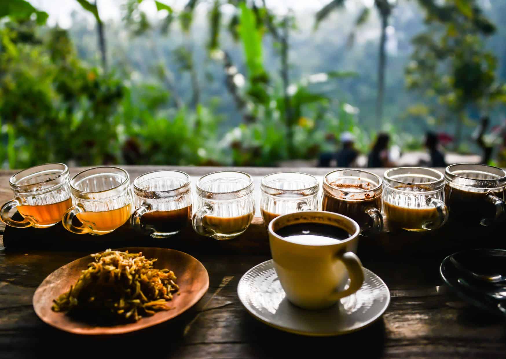 Luwak Coffee