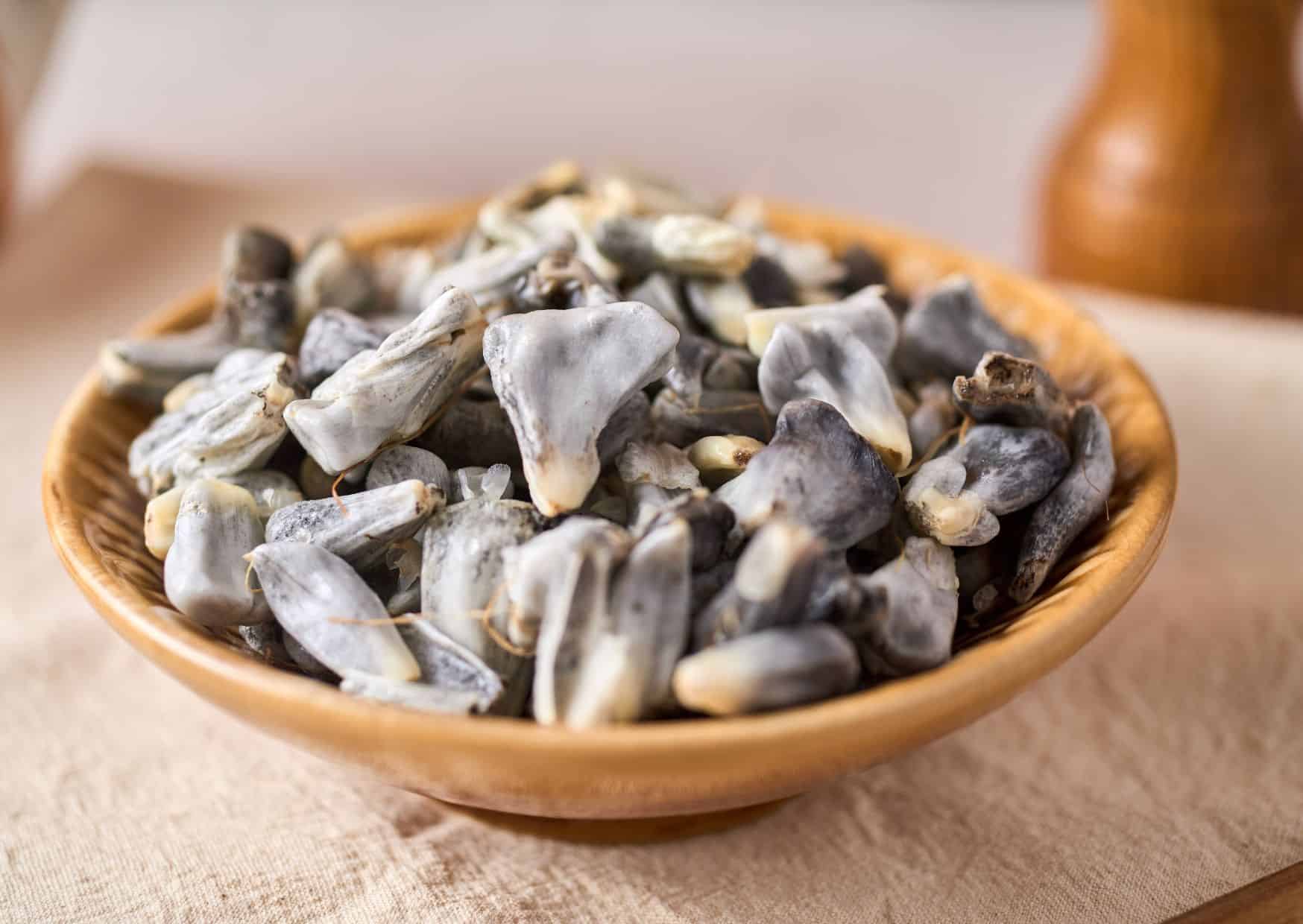 Huitlacoche (Corn Smut), 